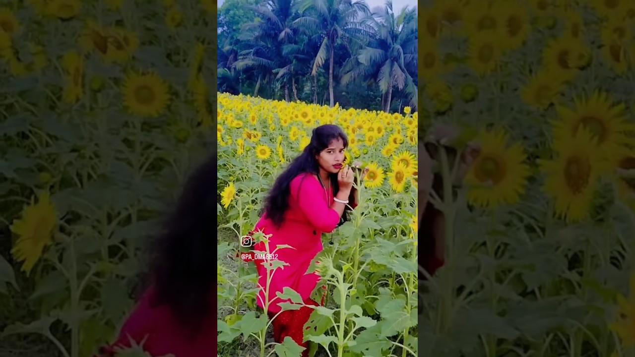 hai hate mar jaba there 