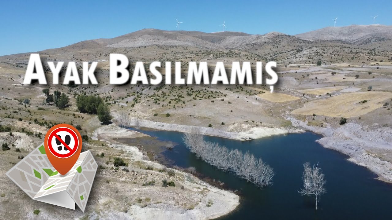 BURADA KİMSE YOK! PEKİ BALIK?