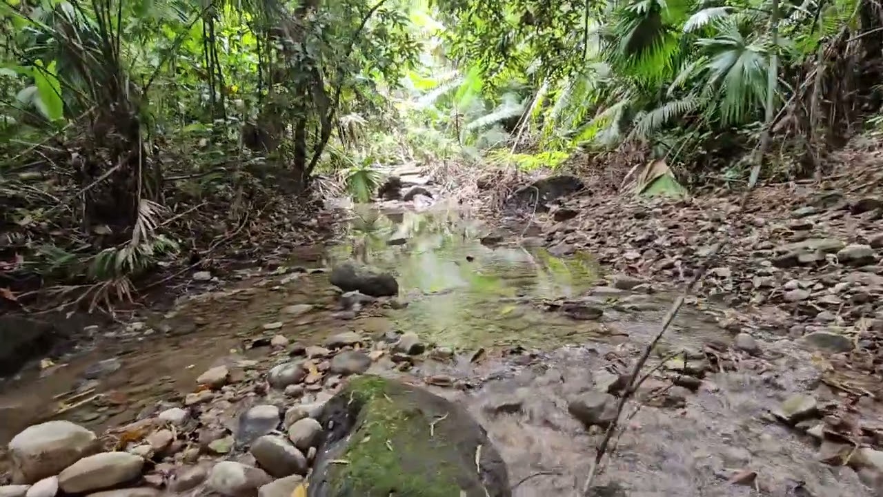 bubuyog fall