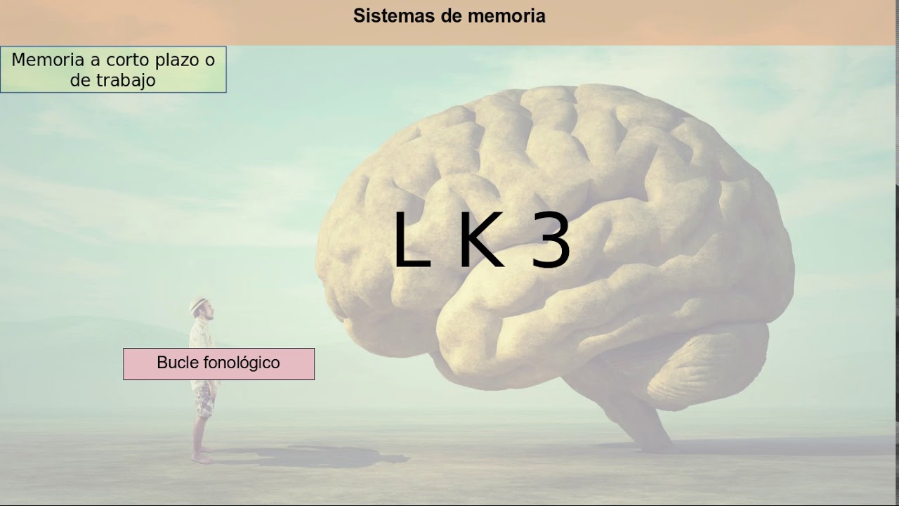 Neuropsicología de la memoria introducción