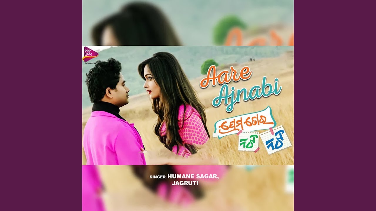Aare Ajnabi