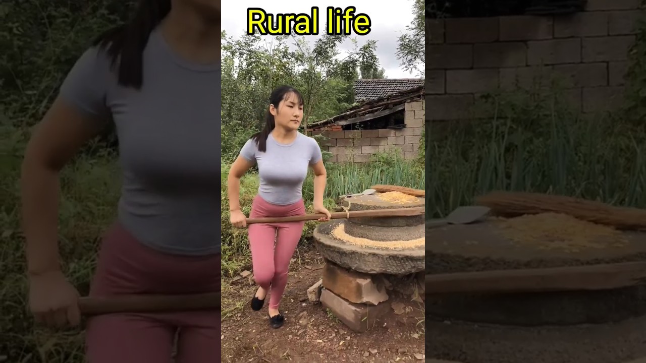 daily life in rural china, village life in china #shorts #agriculture #farming #youtubeshorts