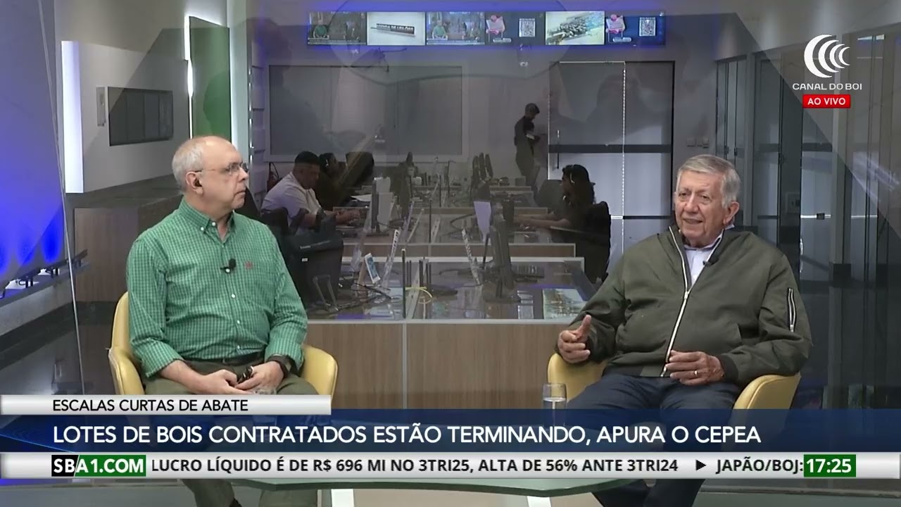 Indústrias retomam negociações no mercado spot do boi gordo