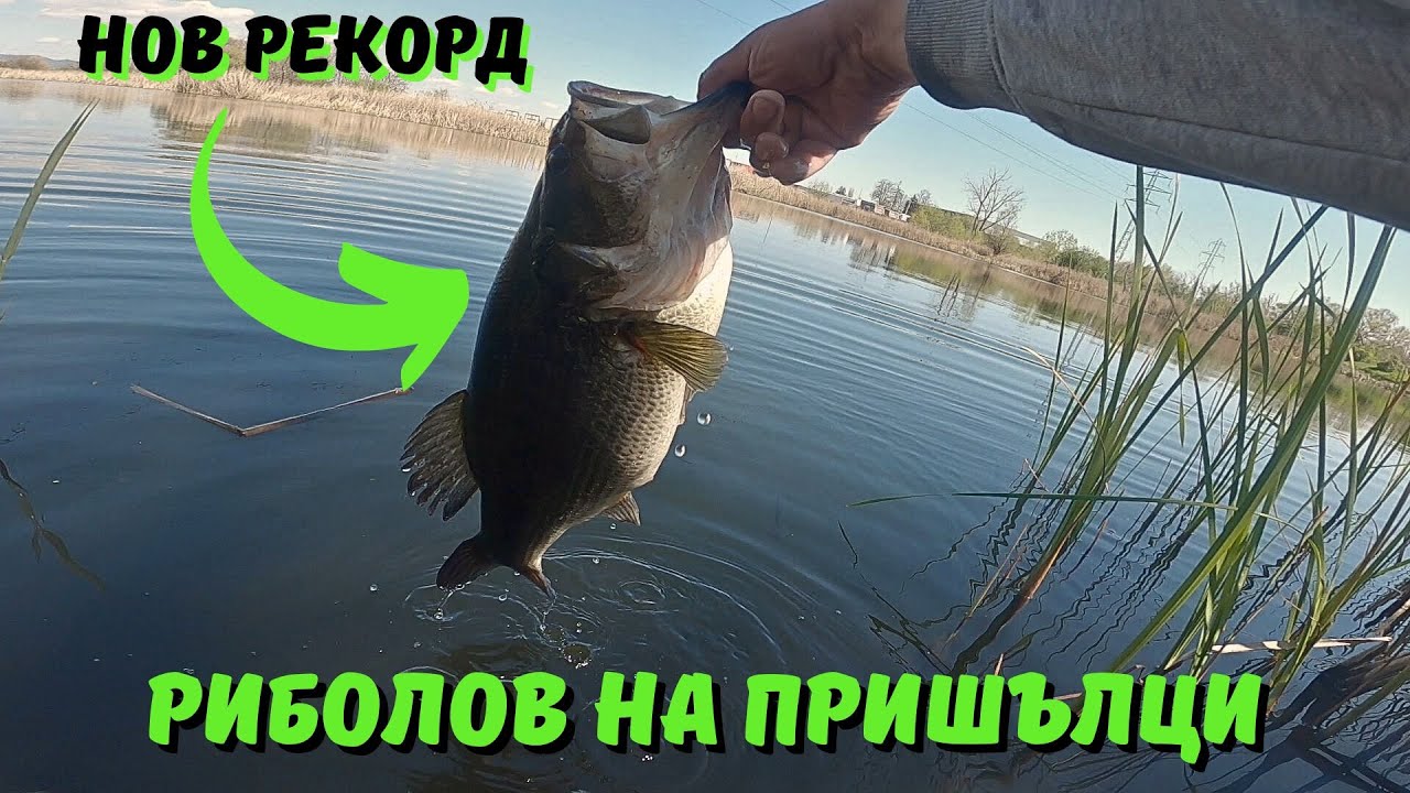 Риболов на BASS с Проходилка