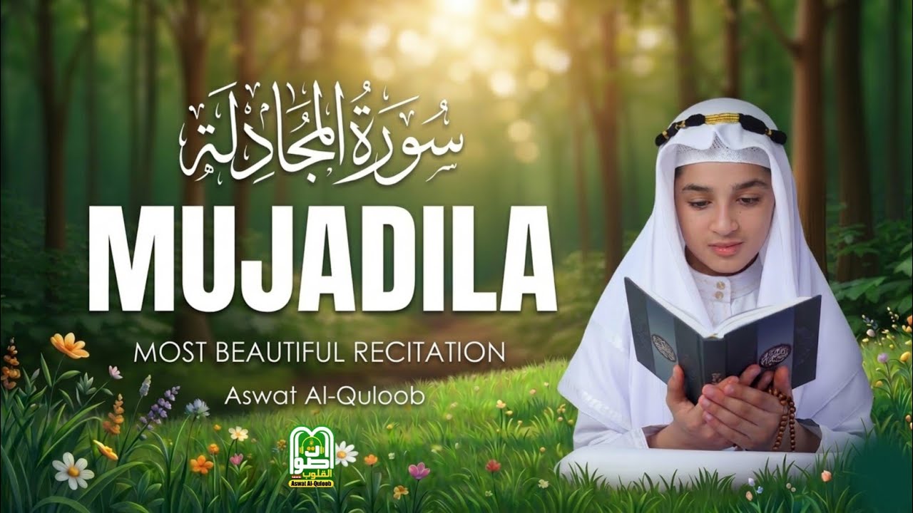 Surah Al-Mujadila سورة المجادلة | Beautiful Lofi Quran Recitation | Peaceful Tilawat
