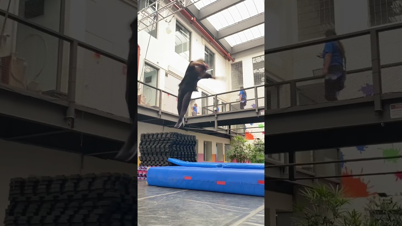 #parkourlife
