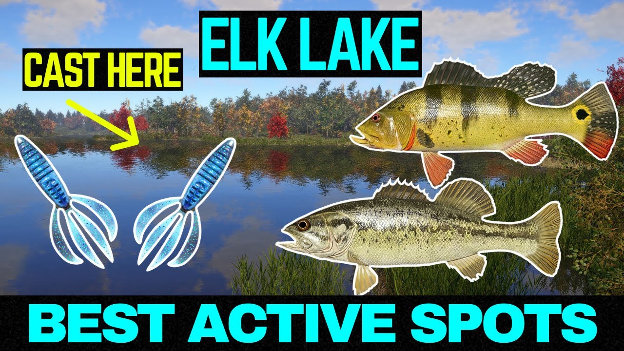 Russian Fishing 4 BEST ACTIVE SPOTS (Elk Lake)