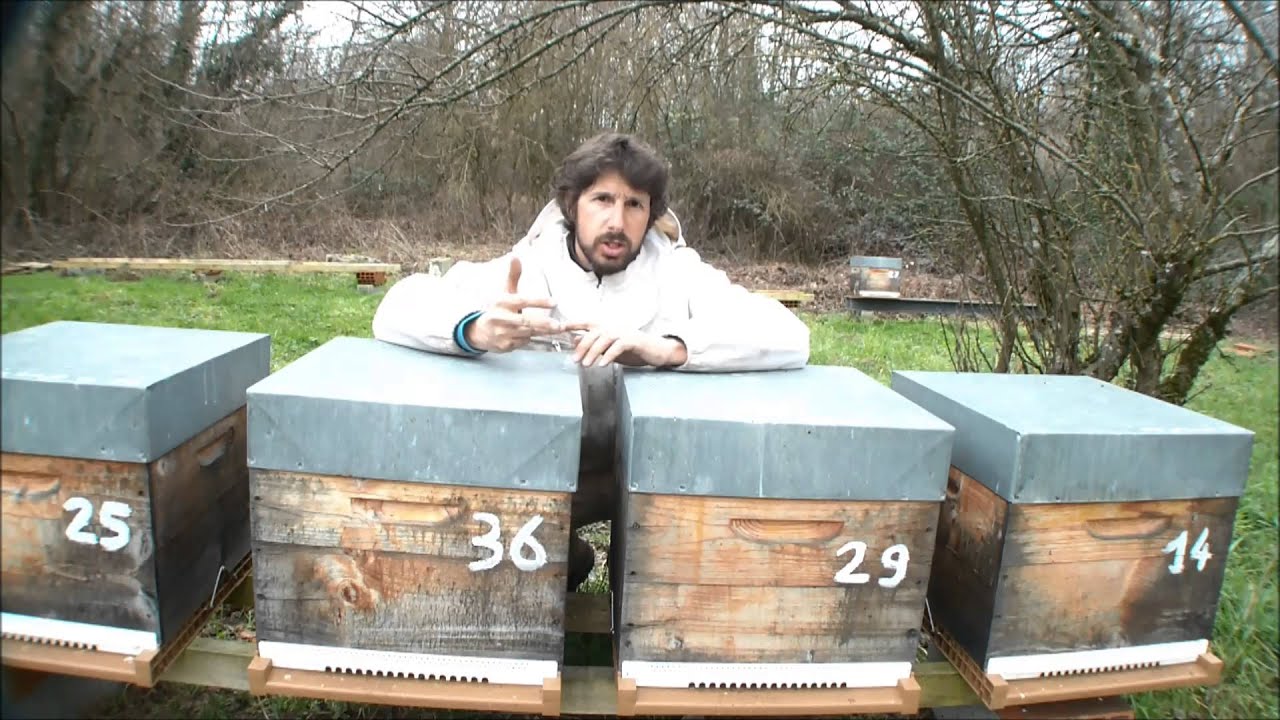 Pesée des ruches et sucre candi