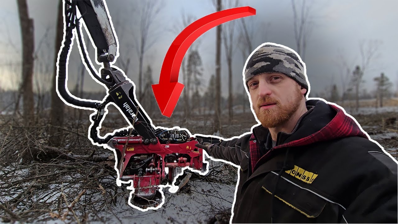 Что мне не нравится в Waratah 622b (и что мне нравится)