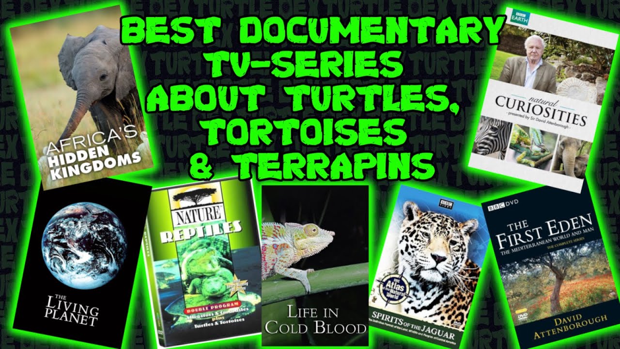 Documentary TV-Series about Turtles - the best ones!
