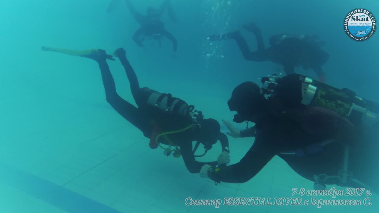 2017_10_7-8 - Семинар ESSENTIAL DIVER с Сергеем Горпинюком в клубе СКАТ