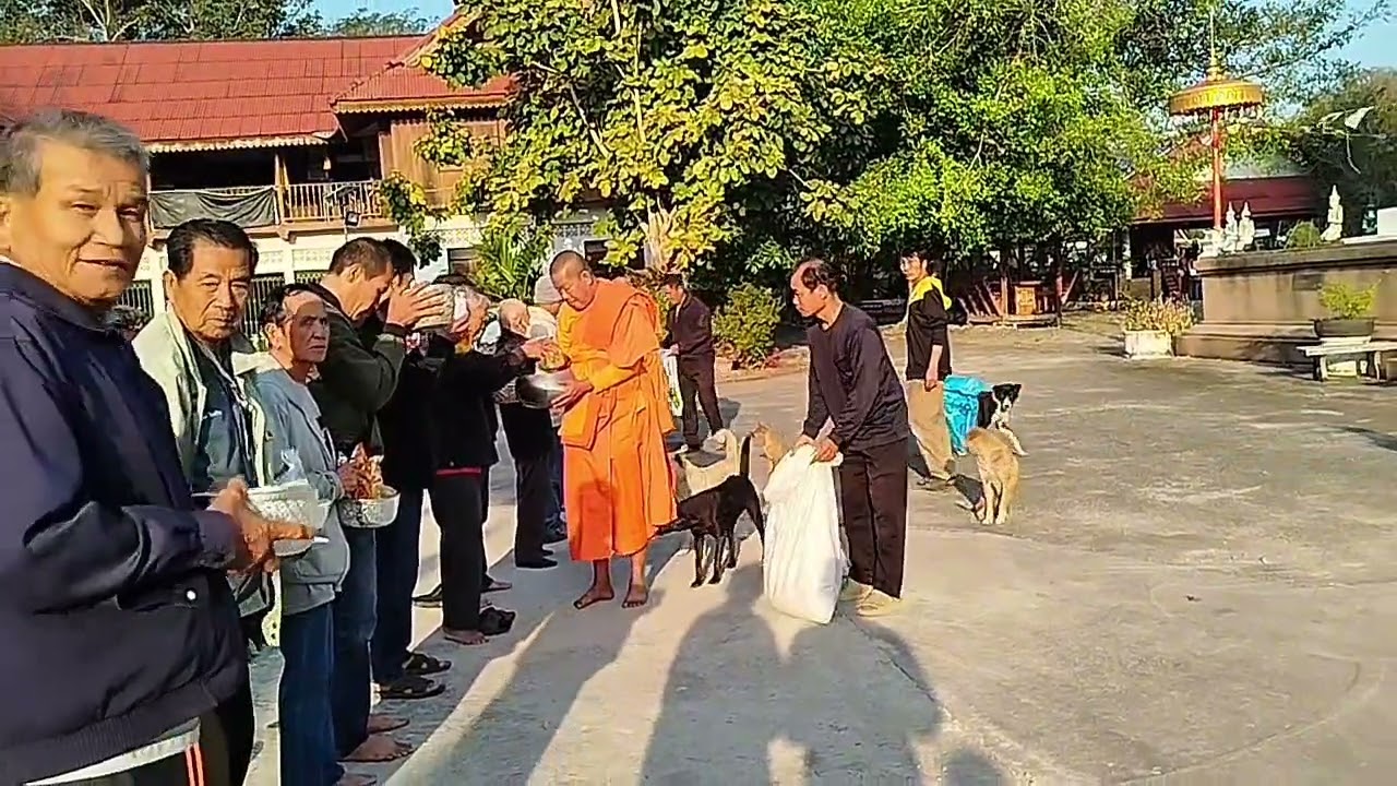 ทำบุญวันพระ