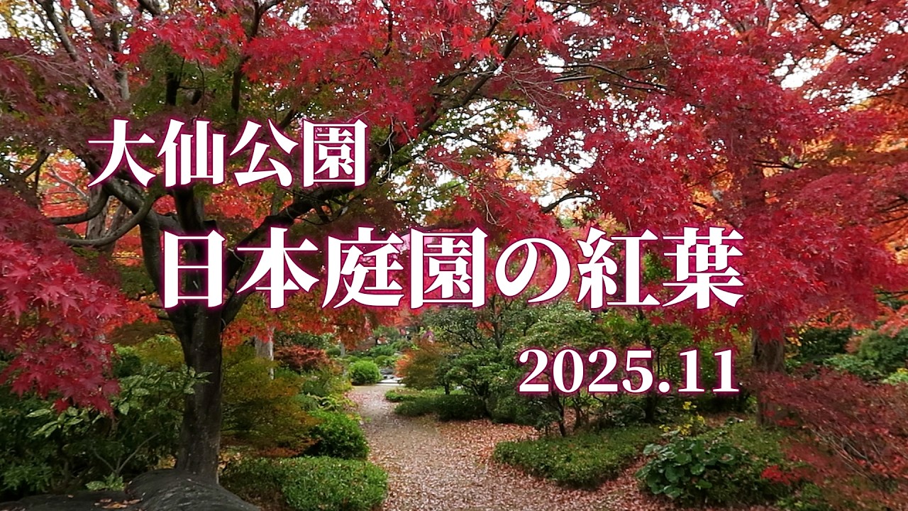 【ちょっと息抜き】大仙公園の日本庭園に行ってきました