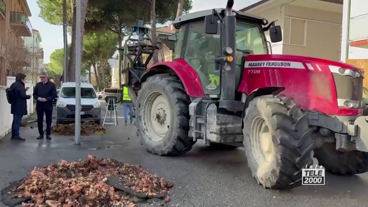 Al via a Pesaro le operazioni di sistemazione del verde pubblico in città