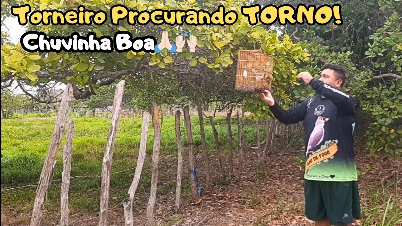 ⛈Chuva e Torneiros🌳 Agora eles Firma Torno🔥