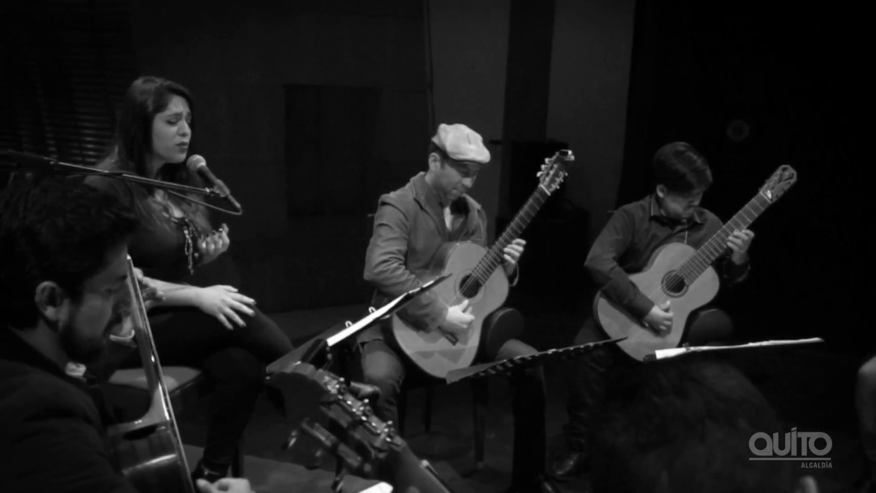 Homenaje a Violeta Parra / Ensamble de Guitarras de Quito, Erika Guam&aacute;n y C&eacute;sar Espinoza