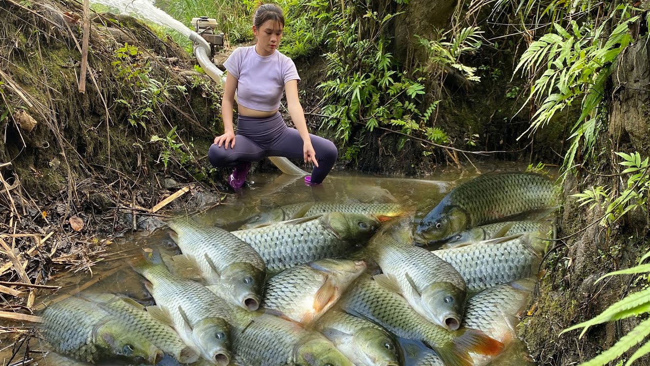 FULL VIDEO of the daily life of a 23-year-old girl fishing in rivers and lakes