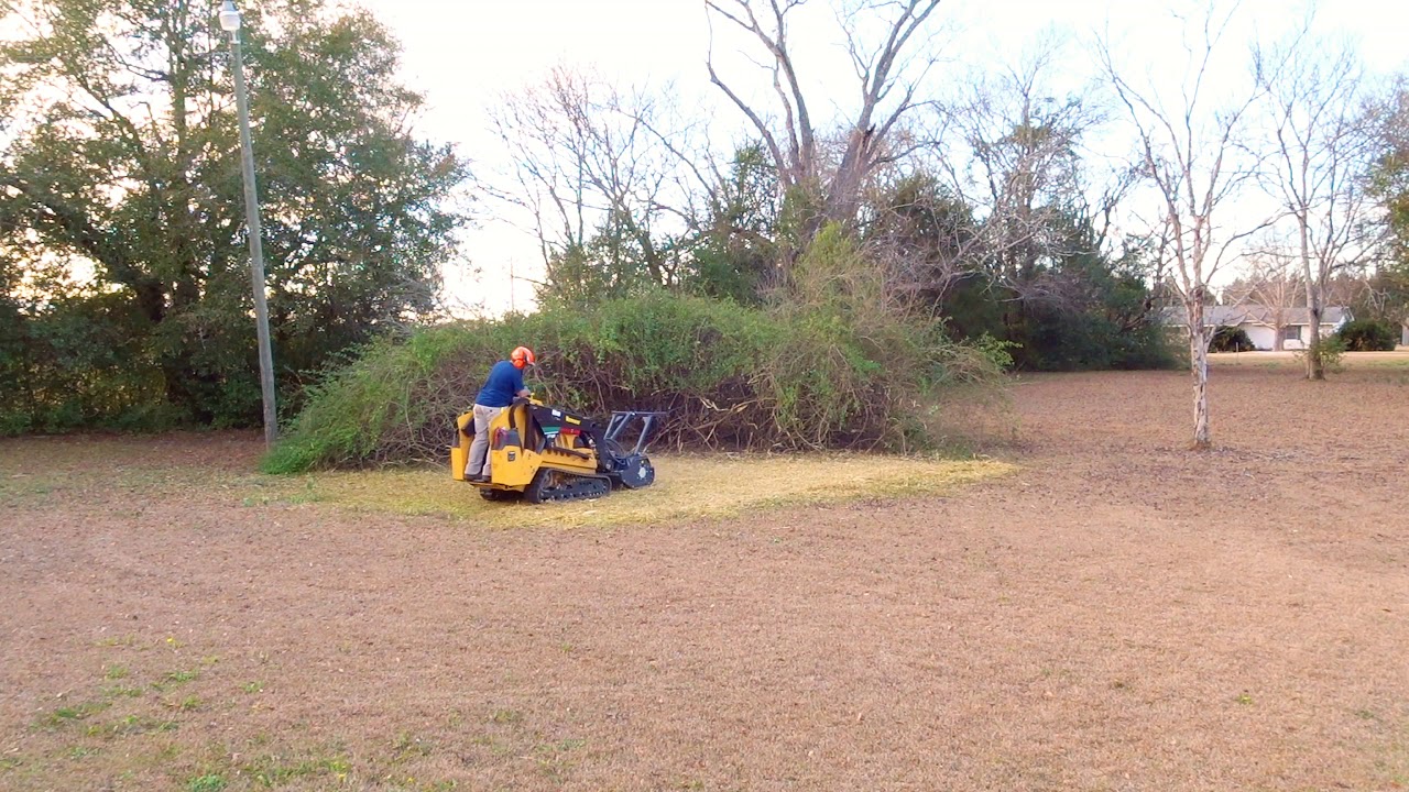 OSMA SSK 90 shredding 15 yr. invasive shrub growth