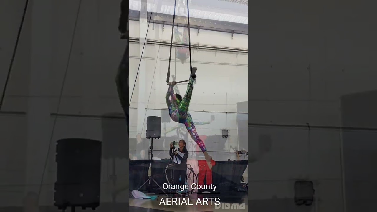 Aerials and Circus Acts by Orange County Aerial Arts