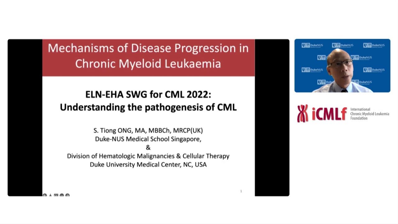 Mechanisms of disease progression in chronic myeloid leukemia