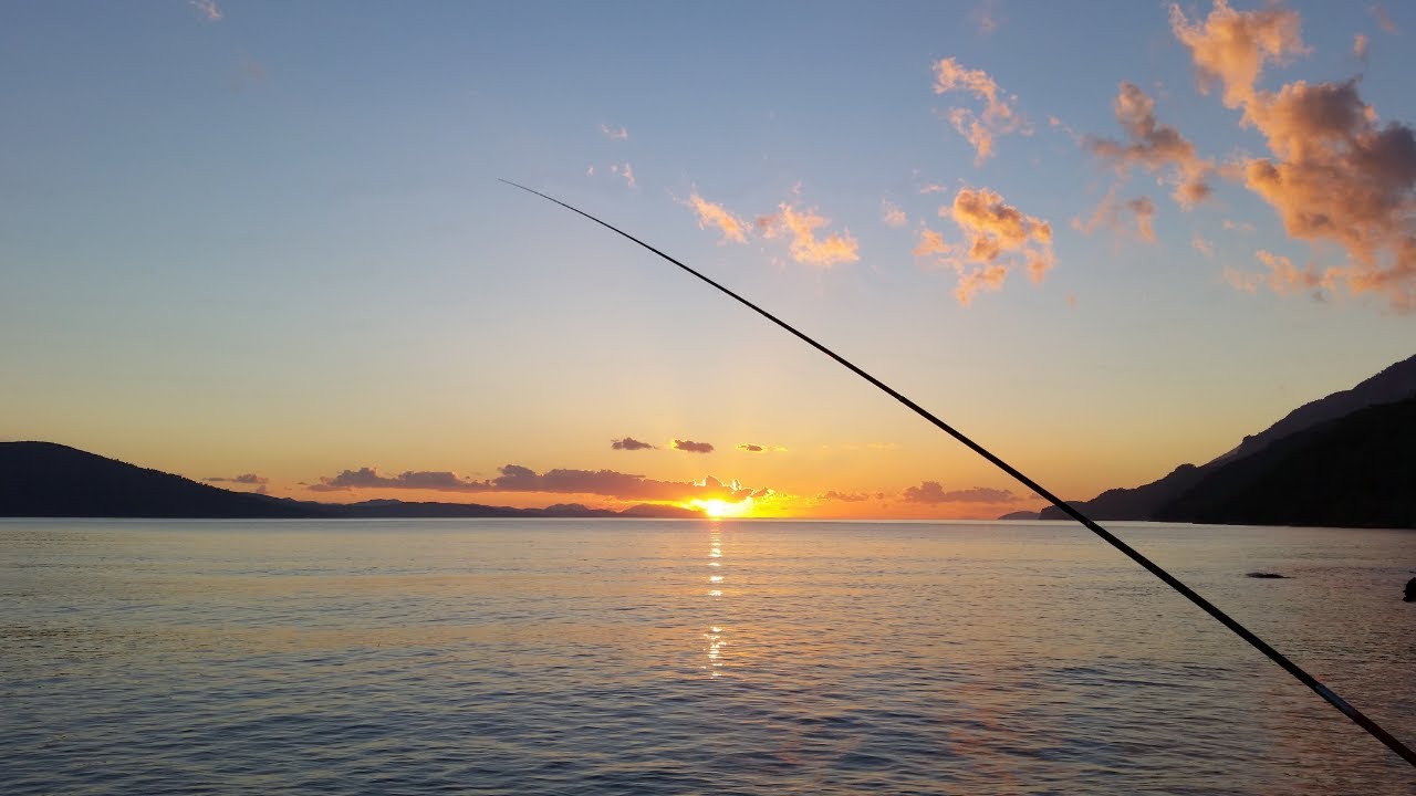 Fishing Therapy