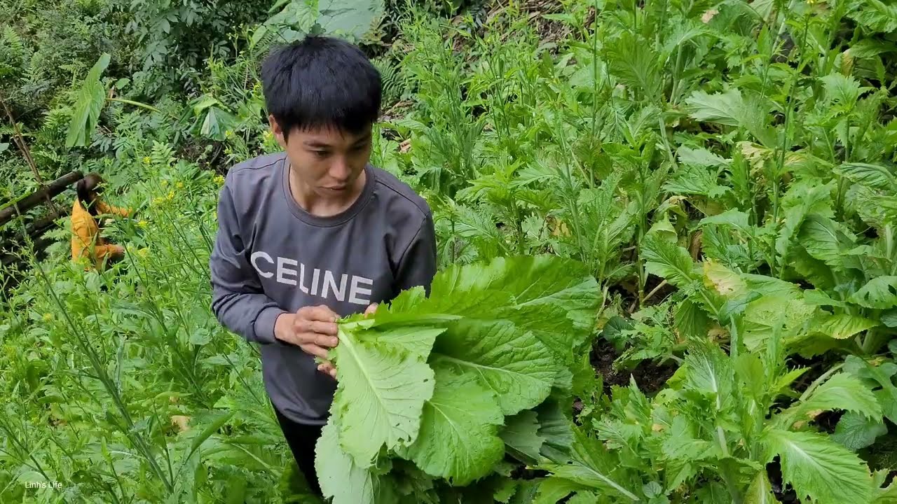 Linh and Dần enduring love: Together they harvest green vegetables and sugarcane to sell.