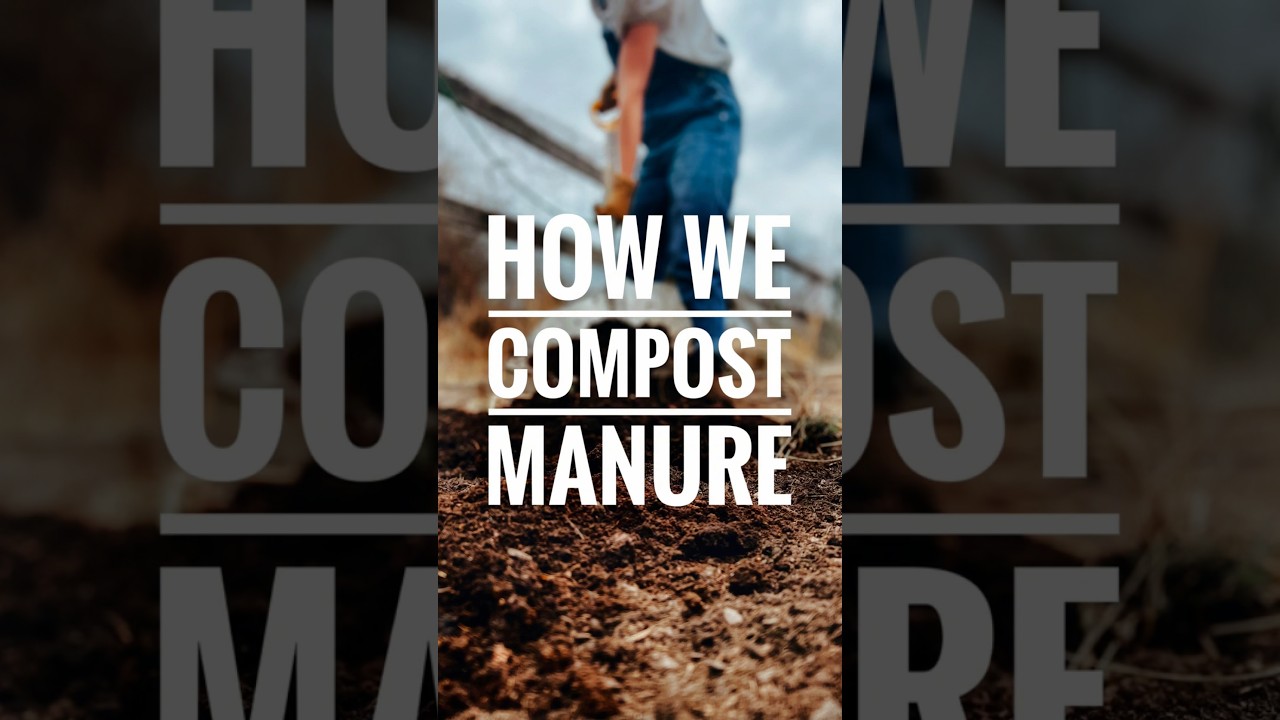 Super simple guide to composting animal manure / How we (HOT) compost