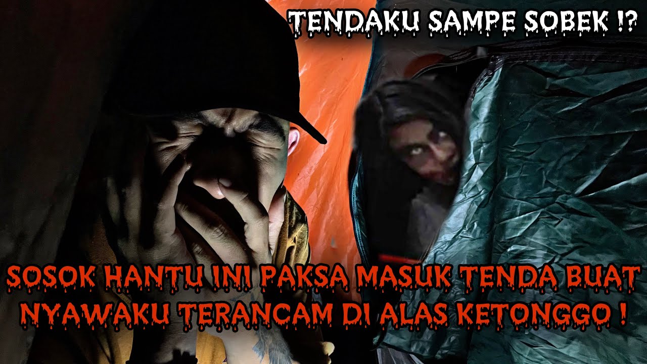 CAMPING HORROR : SETAN INI PAKSA MASUK TENDA SAYA SAAT CAMPING SENDIRIAN DI ALAS KETONGGO !!