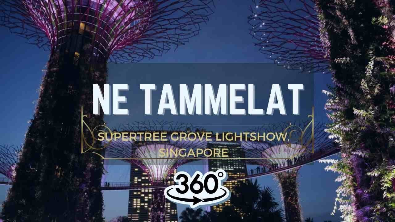 Supertree Grove Lightshow, Singapore - 360 | Ne Tammelat