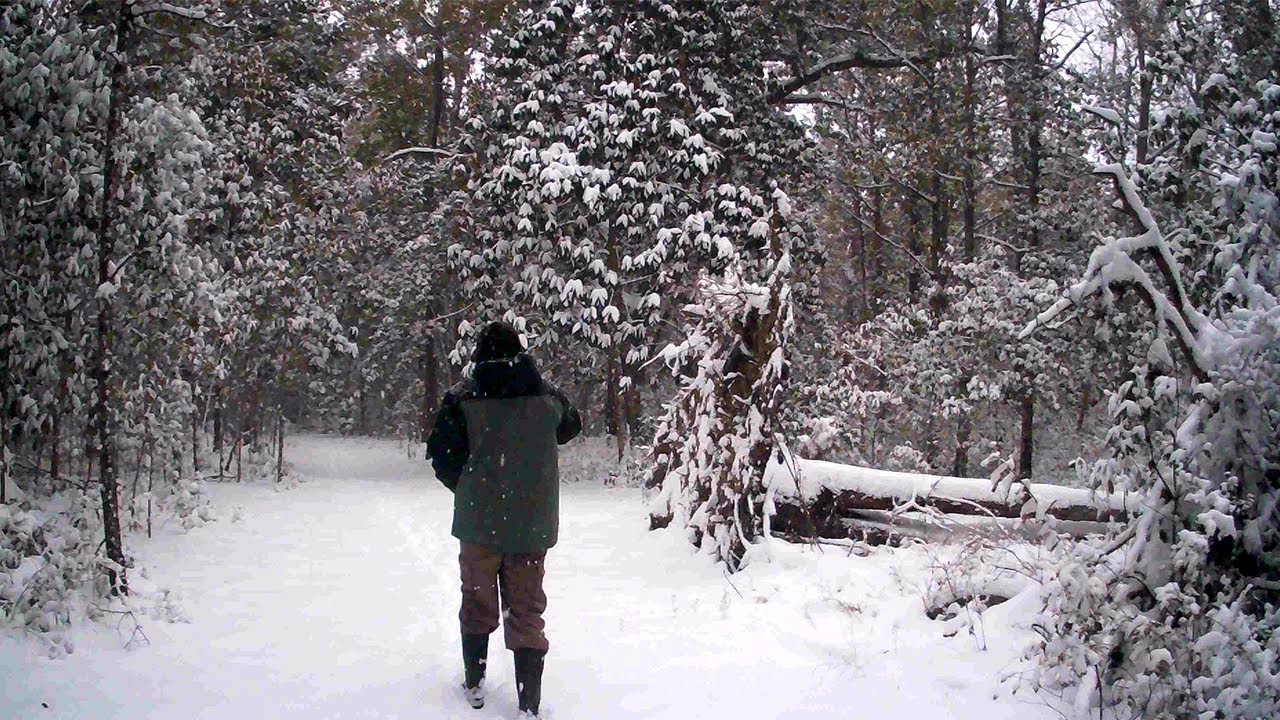 Winners And Losers Of The Blizzard