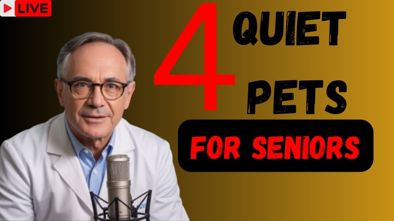 4 Quiet Pets for Seniors in Noise-Sensitive Living Space
