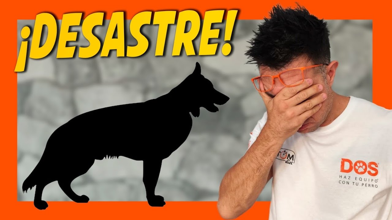 RAZAS DE PERRO ARRUINADAS (¿Cuáles son?) Educación Canina 🐶