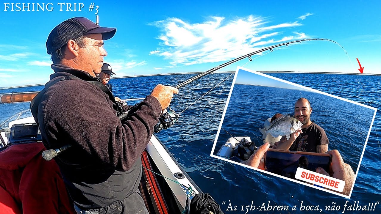 ÀS 15H ELAS ABREM A BOCA, NÃO FALHA!!!