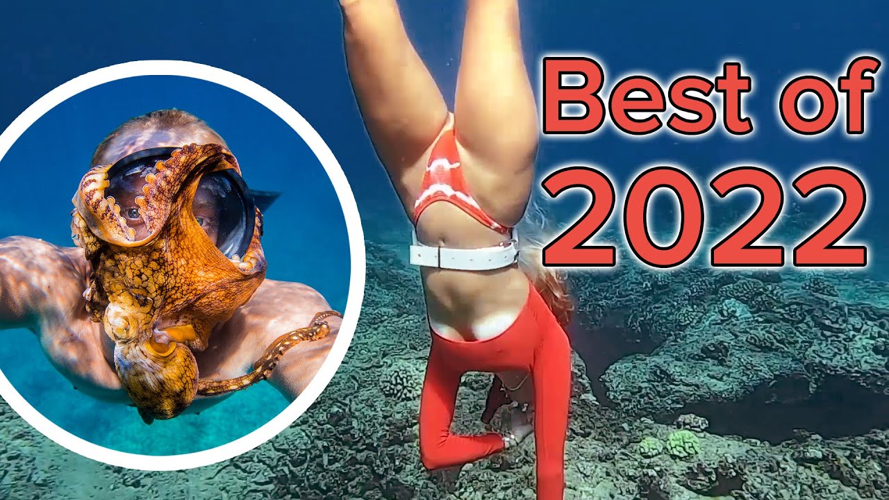 MOST VIEWED Underwater Shorts 2022 #shorts