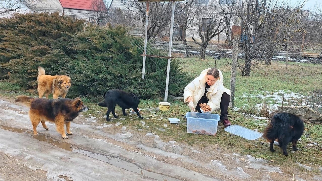 They waited on the cold street… just to get some food