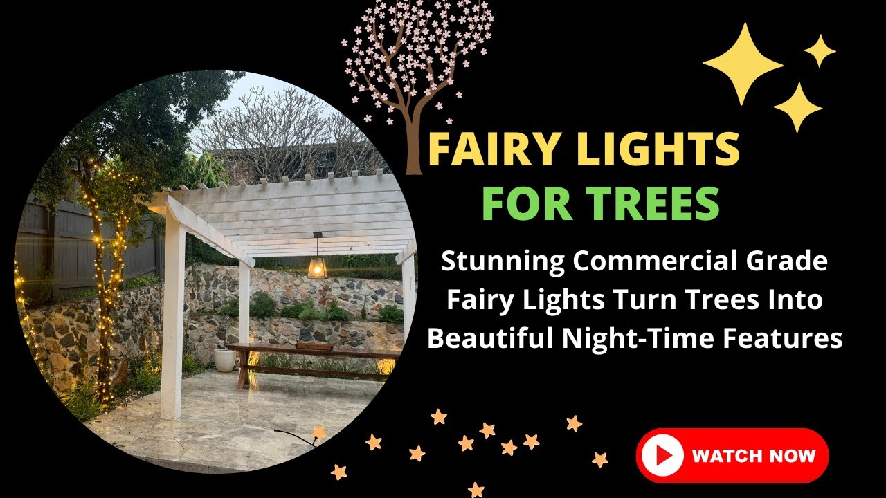 Fairy Lights For Trees Trunks Branches, Tough Robust Fairy Lights Create Stunning Trees