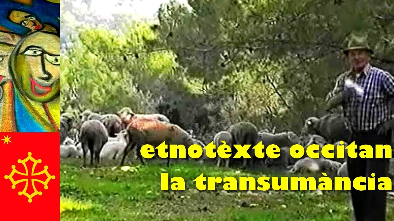 La transumància en Provença 🐑 en occitan