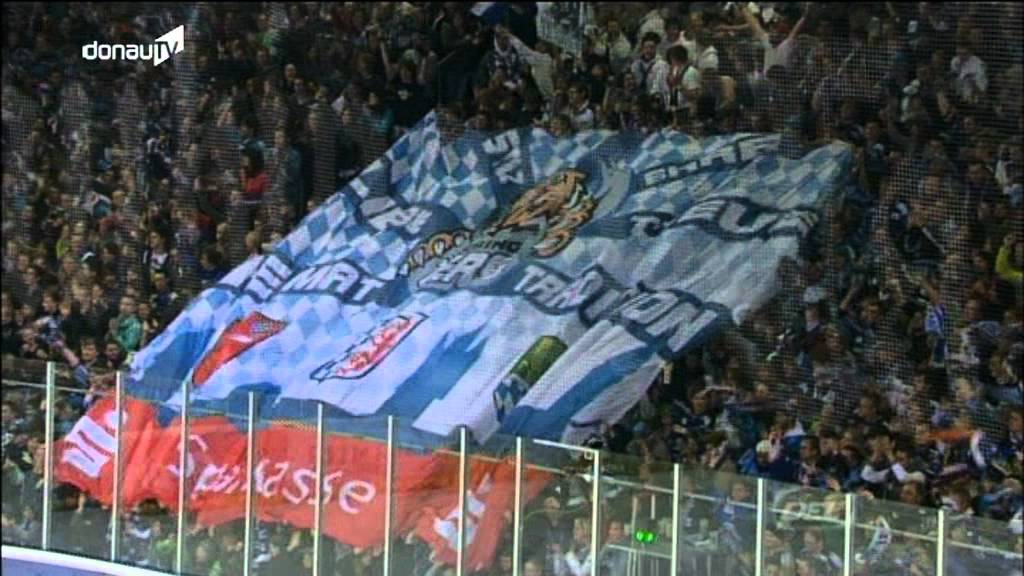 Am Ende einer erfolgreichen Saison -- Straubing Tigers unterliegen Eisbären Berlin!