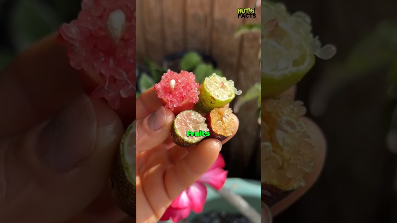 Top 5 Fruits with the Weirdest Texture #shorts