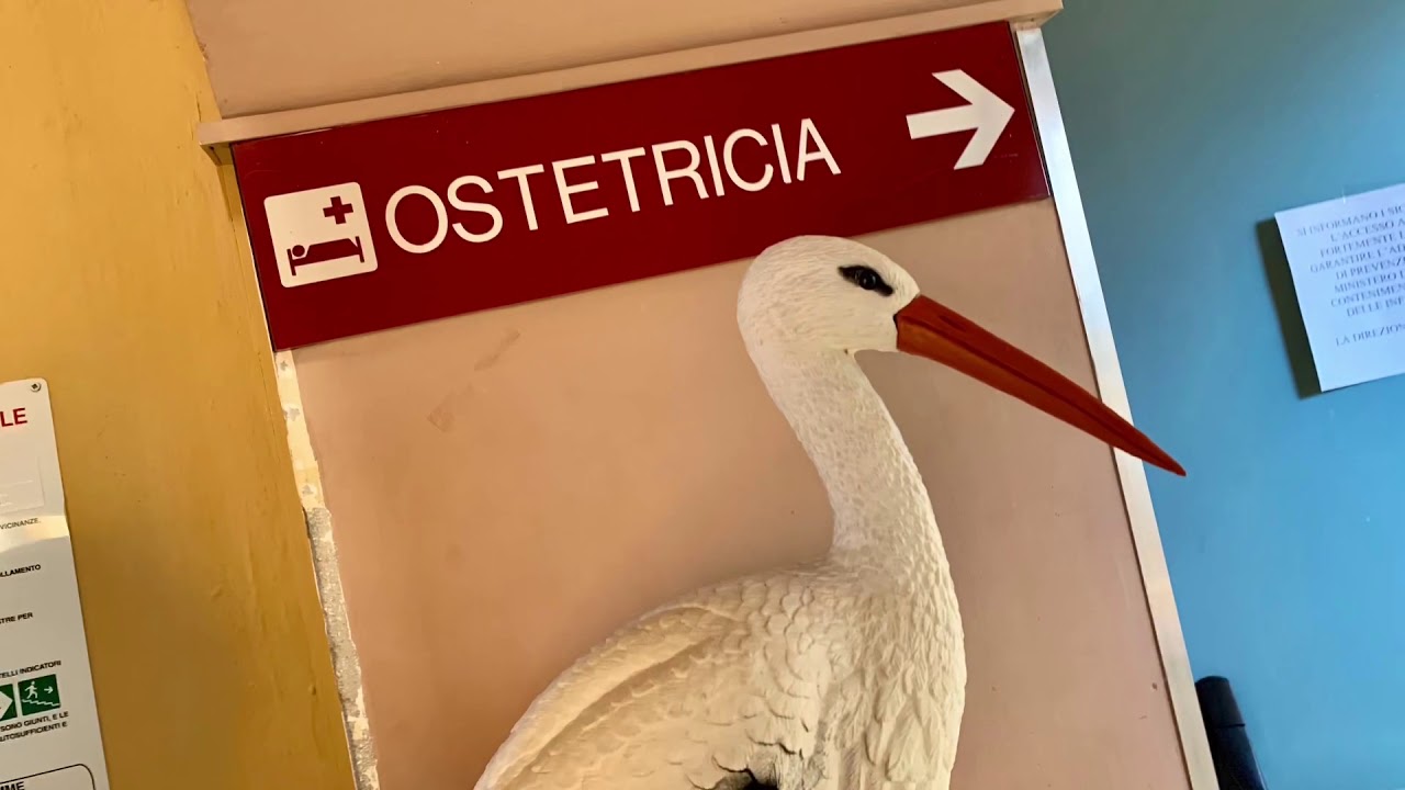 Ostetricia e Ginecologia - Alba San Lazzaro