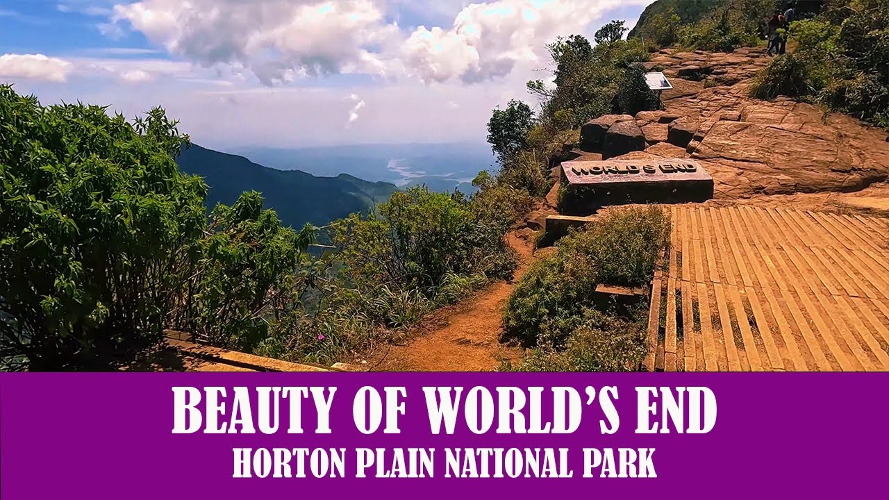 World's End |  Unveiling the Majestic Beauty of Horton Plains | Sri Lanka Travel Guide #world's end
