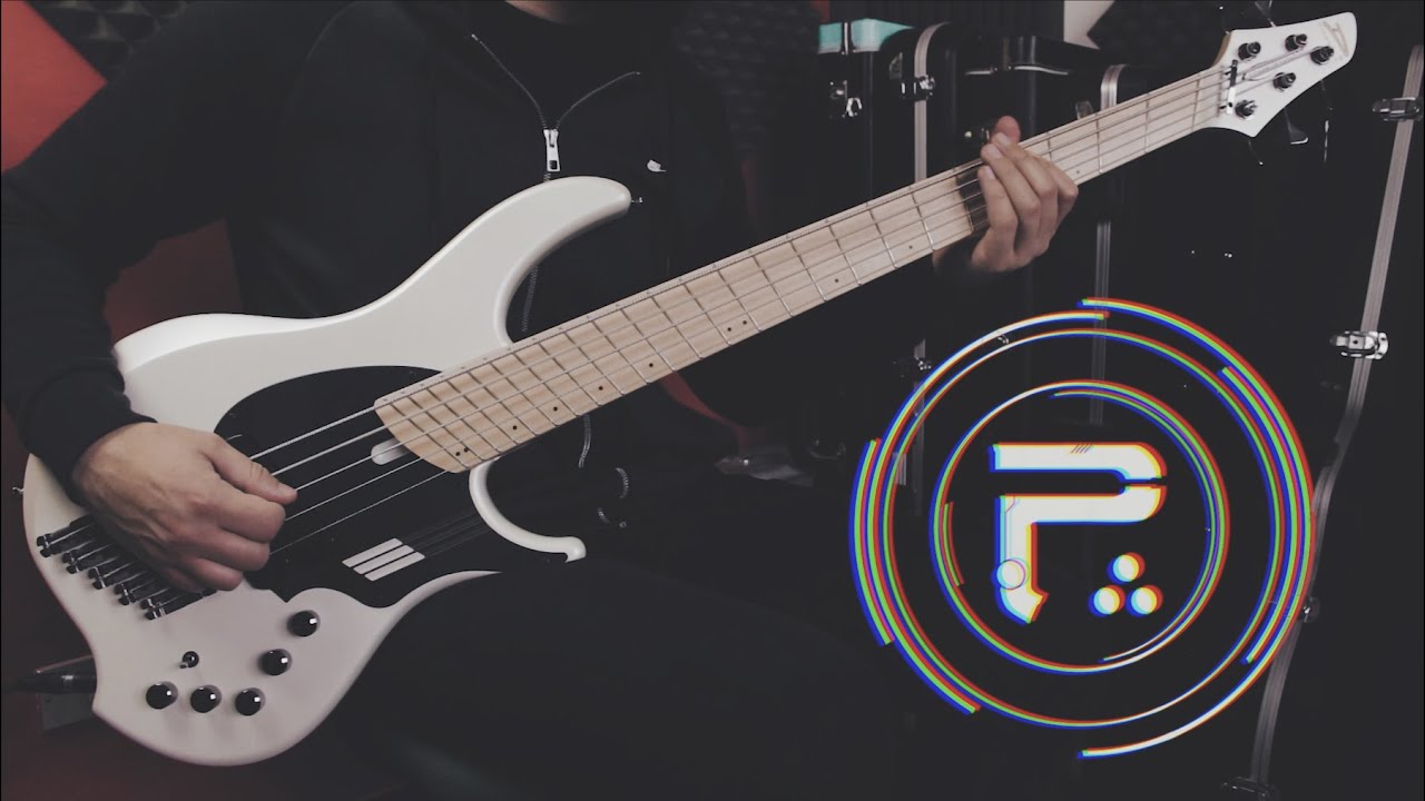 PERIPHERY - Heavy Heart BASS COVER // Dingwall NG2