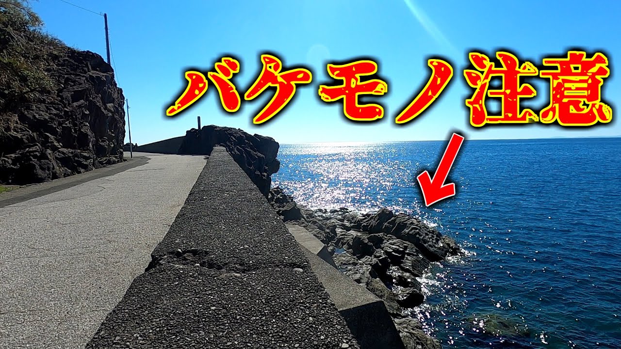 道沿いの地磯に潜む人生初の魚