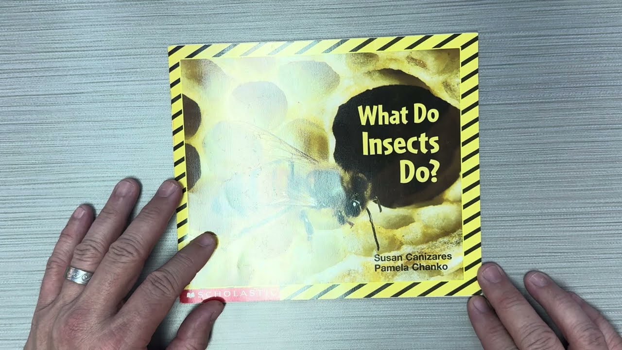 What Do Insects Do? Susan Canizares and Pamela Chanko for Scholastic INC is a read aloud for kids