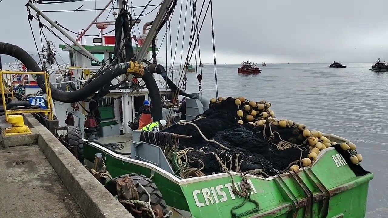 Pesca industrial en Talcahuano #Talcahuano #Chile #Pesca 