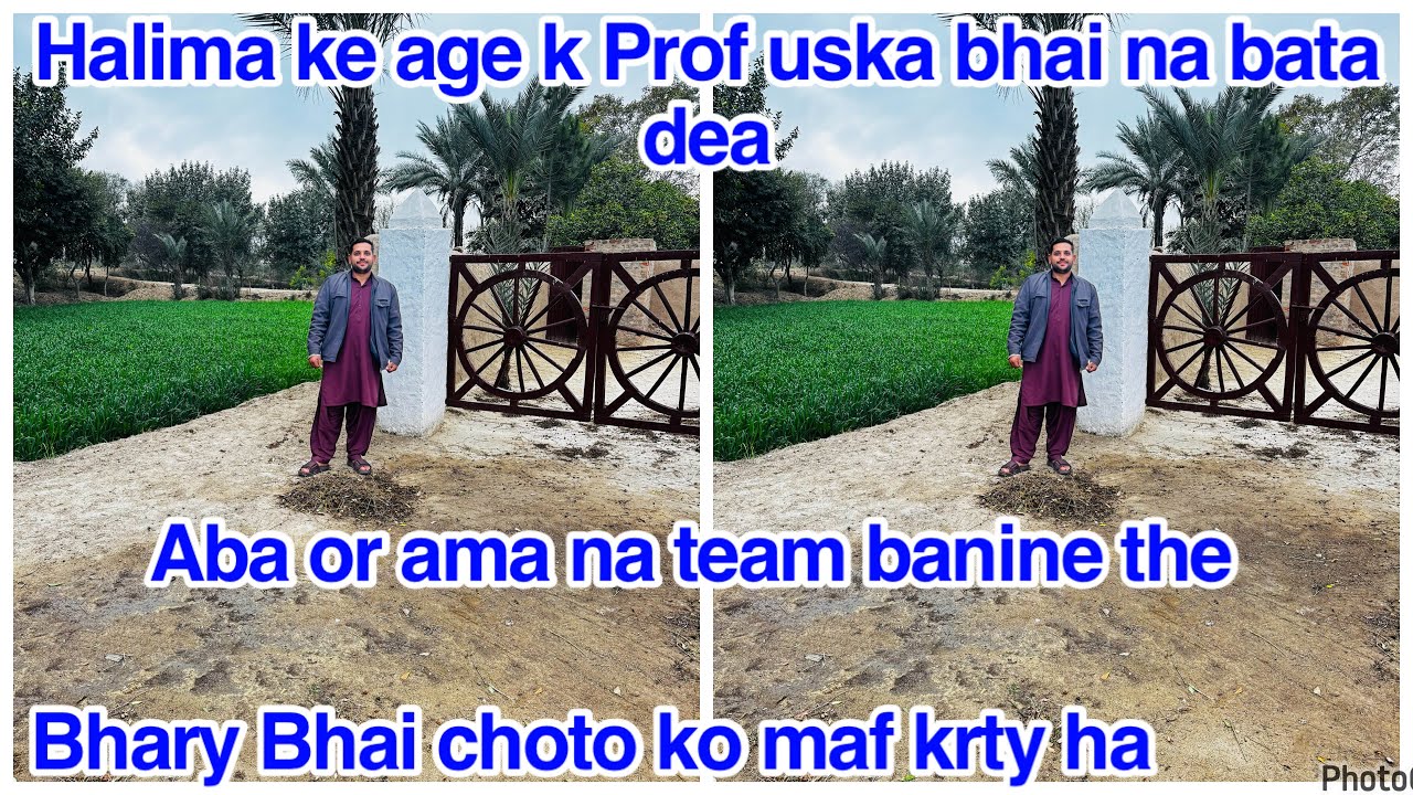 Halima ke age k Prof uska bhai na bata dea,Bhary Bhai choto ko maf krty ha,Aba or ama na team banine