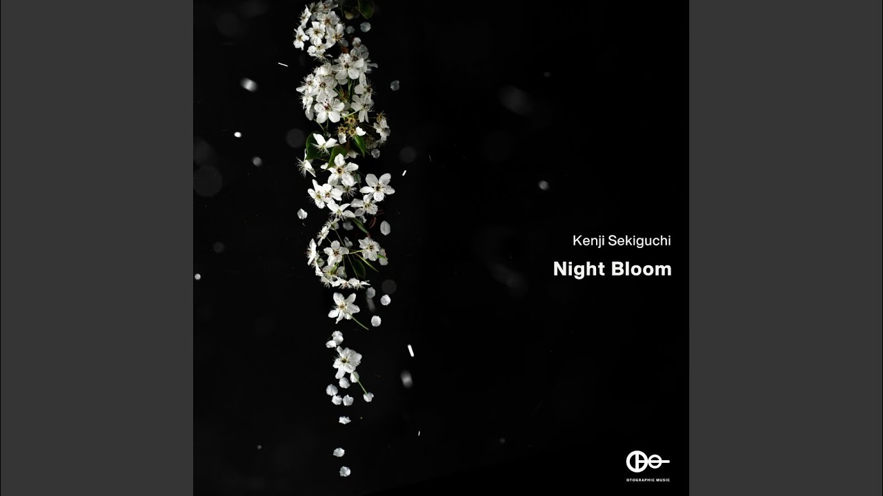 Night Bloom