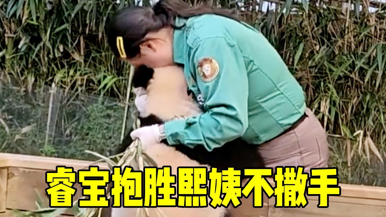 睿宝抱着胜熙姨不撒手，在屁股后面穷追不舍，看来很喜欢胜熙姨【牧场时间】