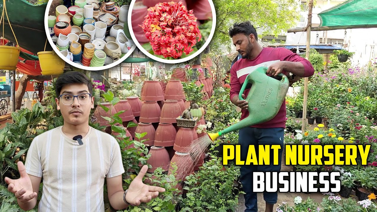 Plant Nursery Business Complete Details🪴 | How to Start and Grow Successfully