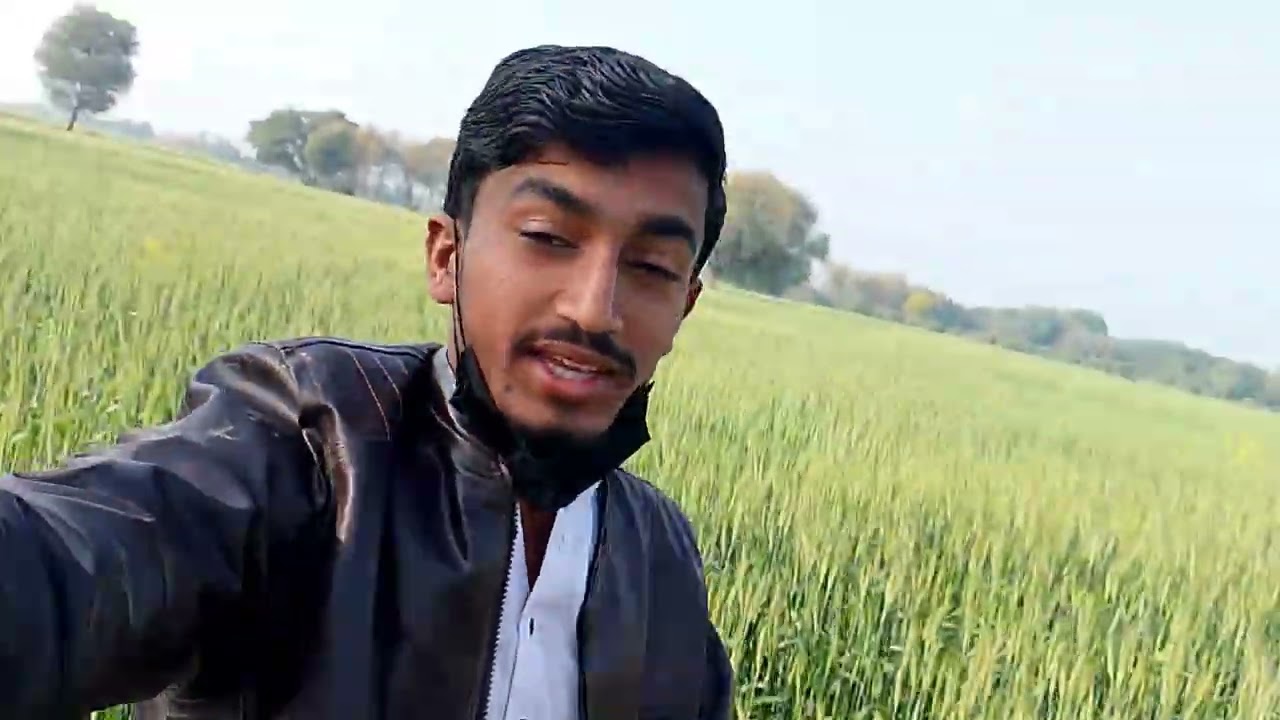 Pedal teval to sher 💕